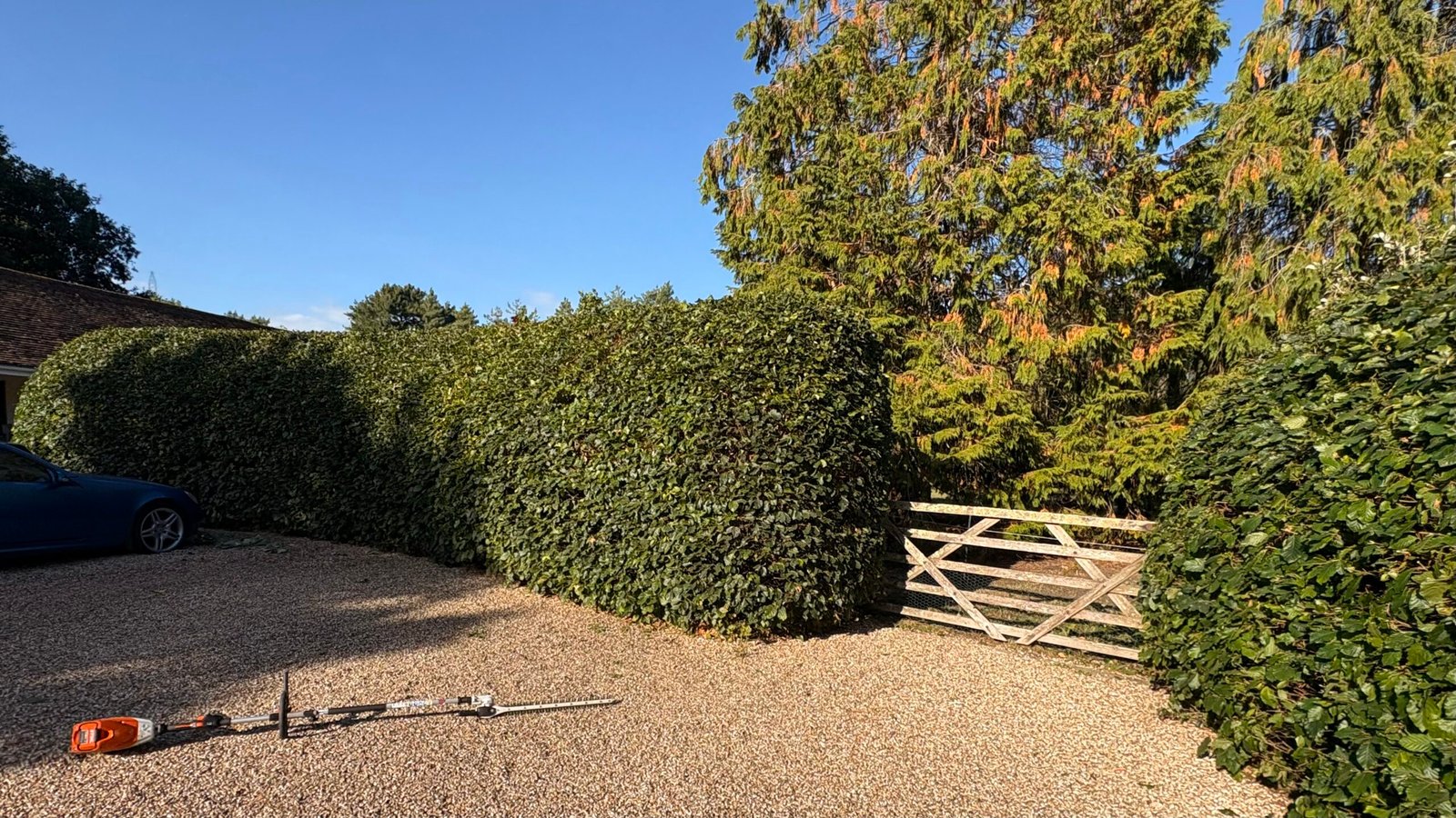 Hedge Cut 1