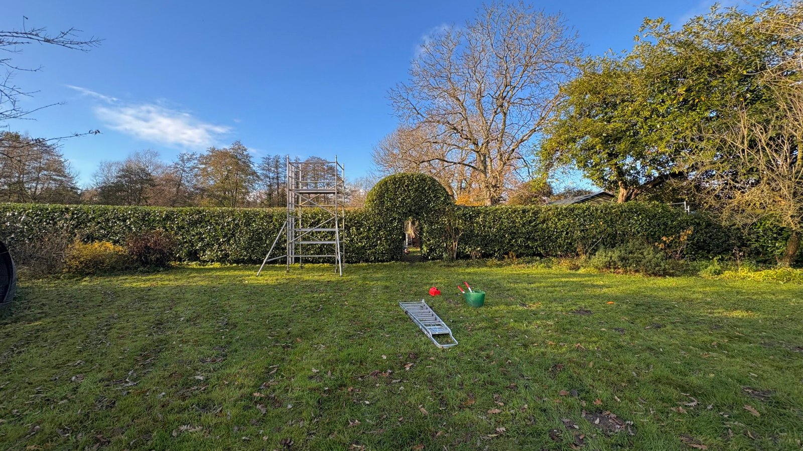 Hedge Cut 2