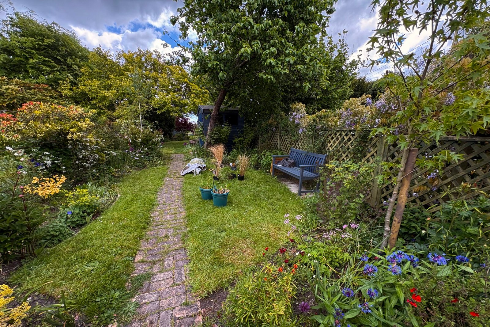 Ornamental Beds and Borders 1